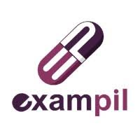 Exampil Solutions Pvt Ltd