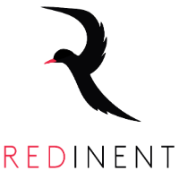 Redinent Innovations Pvt Ltd